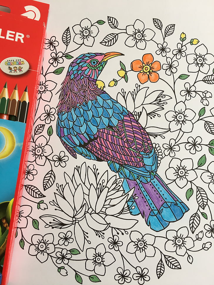 coloração em, lápis, desenho, colorido, Cor, criativa, cor