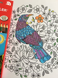 colorazione in, matita, disegno, colorato, Colore, creativo, colore