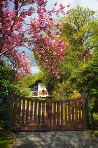 germany, house, home, gate, entrance, trees, blooms
