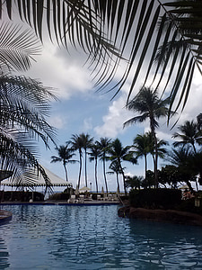 basen, basen, wody, palmy, Guam, pływanie, Latem