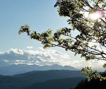 Alp, ağaç, mavi, bulut, gün, gün ışığı, Avrupa