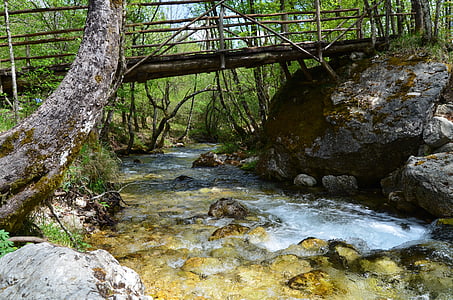 stream, bridge, river, nature, levee, gaviola, water
