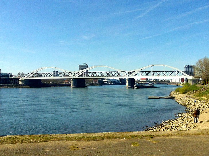 Rheinbrücke, Rhein, Flusslandschaft, Ludwigshafen