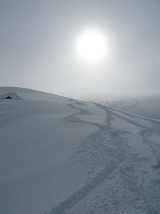 nieve, invierno, pasos, rastros, sol, Blanco, paisaje