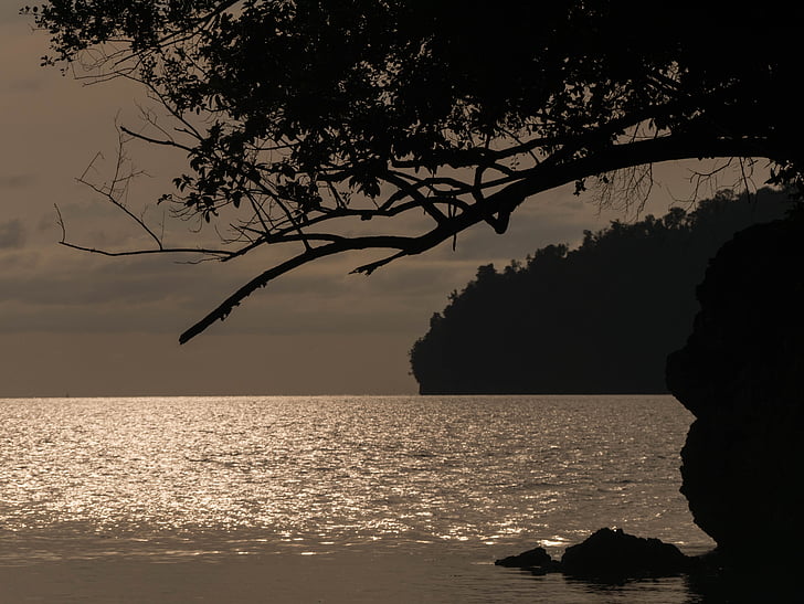 kveld sjøen, togean, øya, solnedgang, Sulawesi, Indonesia, natur