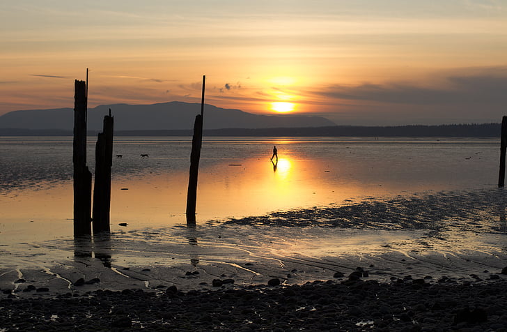 solnedgang, Bellingham bay, Waterfront, liten squalicum strand