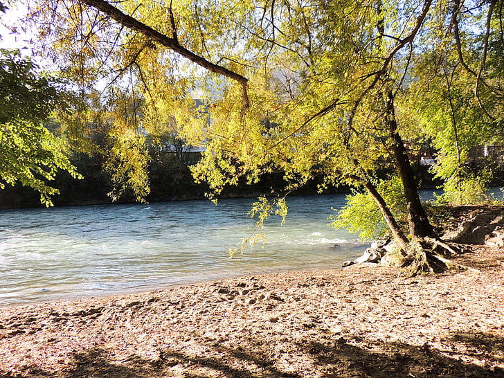 plaža, Rijeka, drvo, vode, priroda, jesen