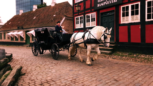 transport, hest carridge, gamle bydel, Danmark, Smuk, hus, gamle