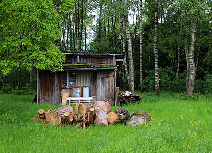 Forest lodge, hytte, bjælkehytte, skov, skala, stald, gamle