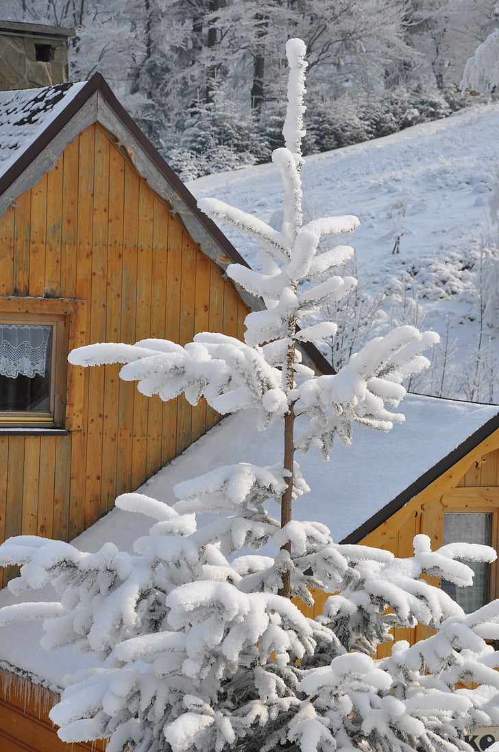 winter, snow, spruce, mountains, cottage, view, landscape