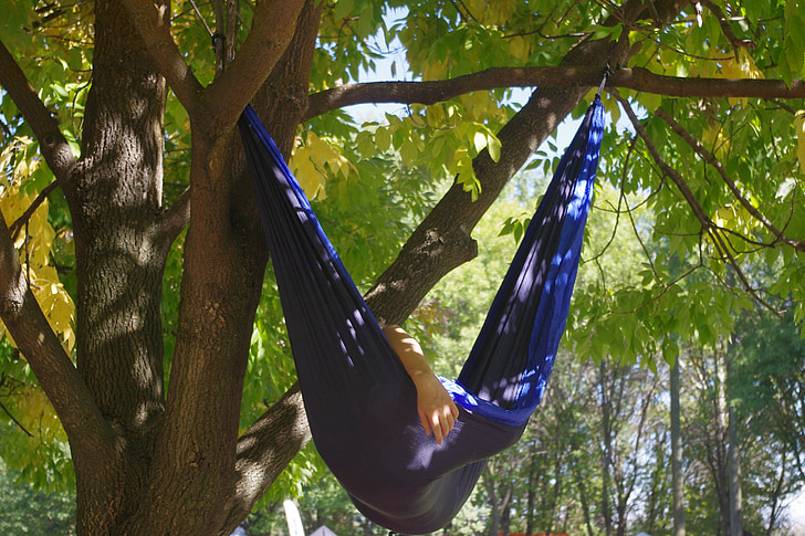 hammock, relax, tree, shade, sleep, nap