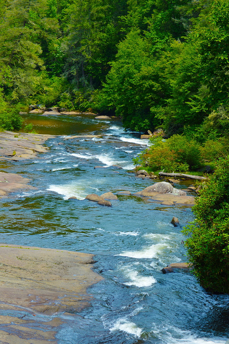 Río, bosque, agua, du Pont, bosque de DuPont, cascada, Carolina