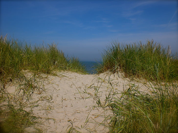 sea, dunes, dune grass, sand, north sea, path, sand road