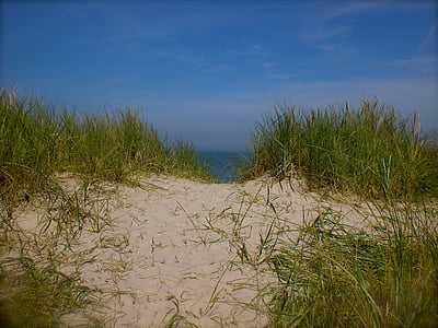 havet, klitterne, Klit græs, sand, Nordsøen, sti, sand road