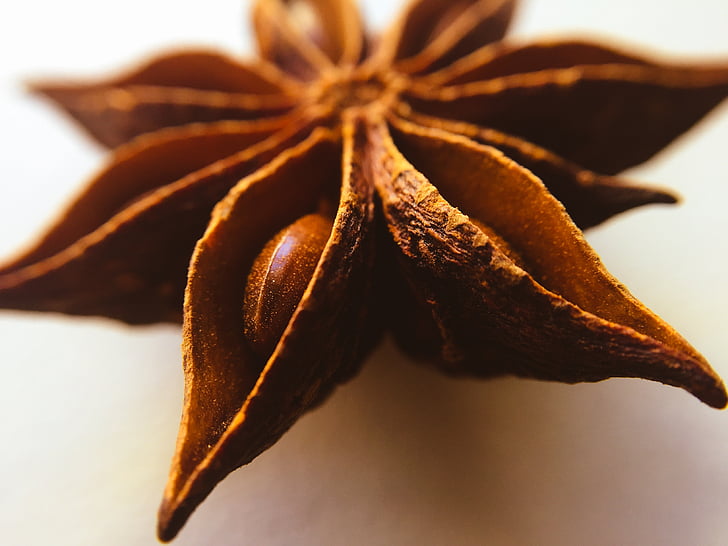 star, anise, plant, seed, close-up, no people, indoors