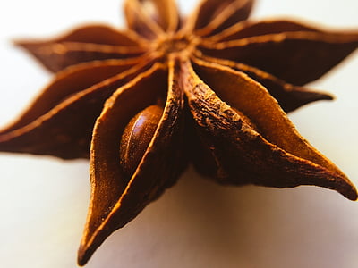 star, anise, plant, seed, close-up, no people, indoors