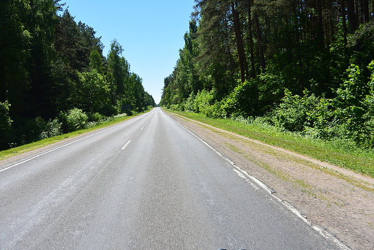 Forest road, asfalt, foto