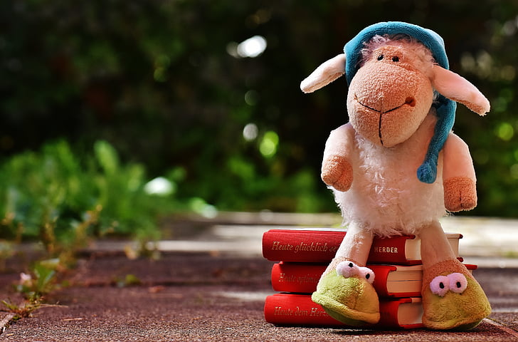 Schafe, Schlafmütze, Plüsch, Bücher, gute Nacht Geschichte, Lesen, niedlich