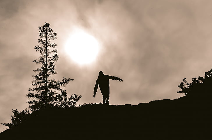 sunset, dusk, silhouette, people, trees, sky, clouds