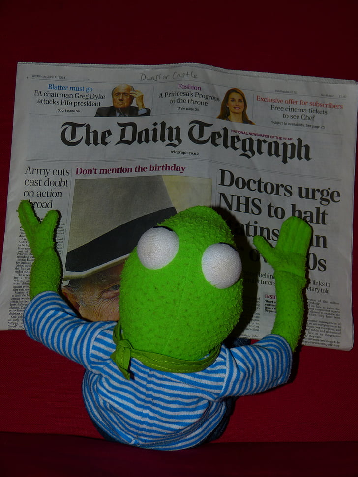 laikraksts, Kermit, varde, lasīt, Daily telegraph, lelle, Angļu