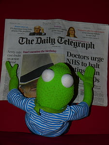 noviny, Kermit, žába, číst, denní telegraf, panenka, Angličtina