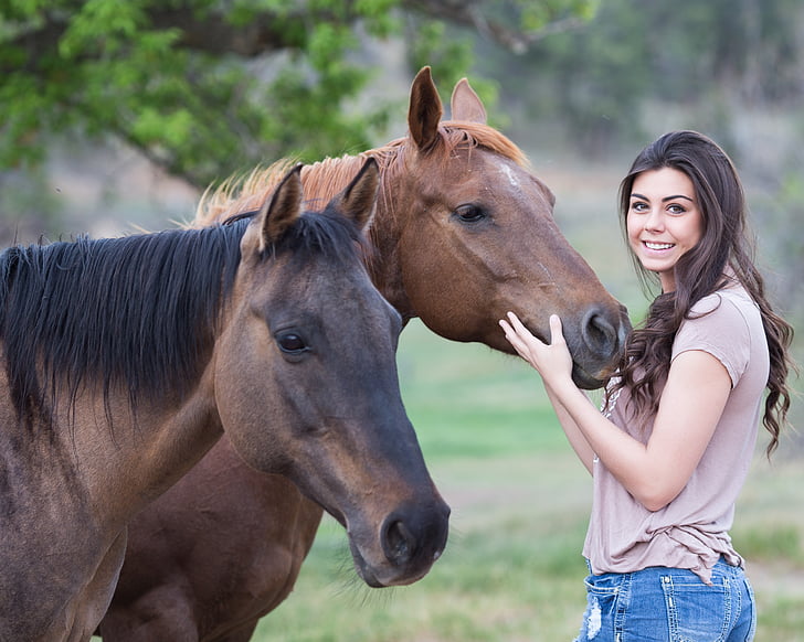 horses, girl, animal, woman, female, equestrian, outdoor