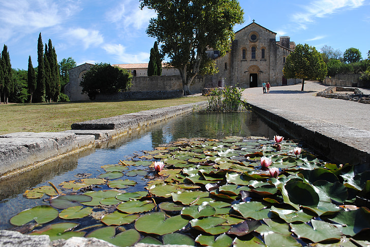 monastery, abbey, silvacane, france, romanesque, church, water lilies