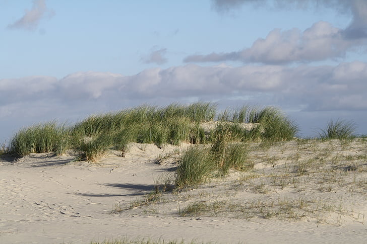 beach, dunes, north sea