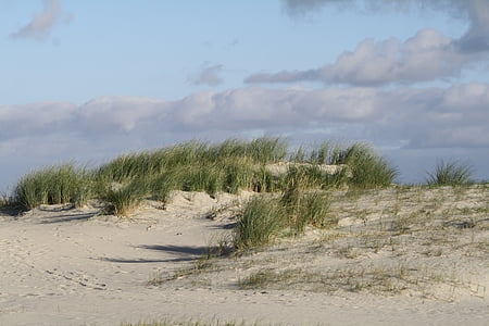 platja, dunes, Mar del nord