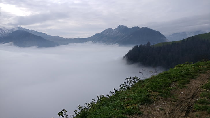 tåge, bjerge, centrale Schweiz, sne