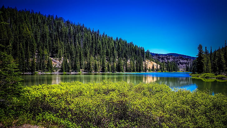 Todd jezero, Oregon, krajina, malebný, hory, Les, stromy