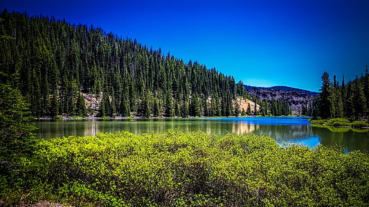 Todd ežeras, Oregon, kraštovaizdžio, vaizdingas, kalnai, miško, medžiai