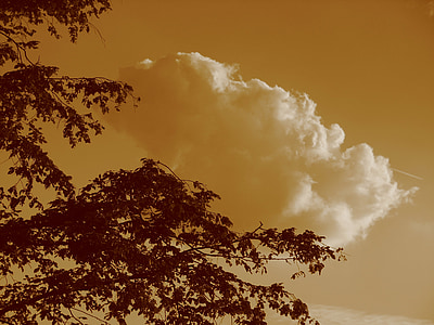 molnet, Sky, moln form, moln, abendstimmung, kvällshimmel, Afterglow