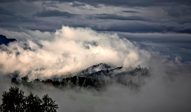 Hora, Highland, krajina, stromy, Les, Příroda, mraky