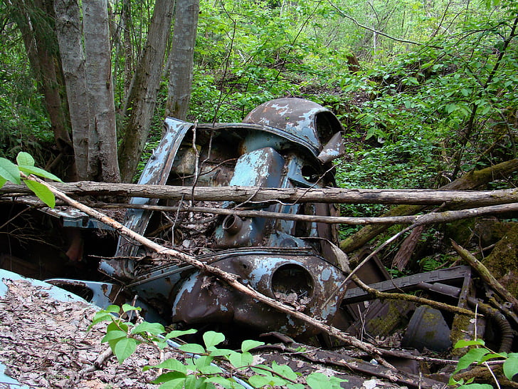 car, automotive shredder residue, nature, rust, scrap, tree trunk