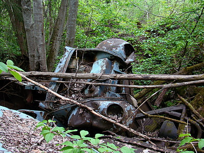 bil, Automotive shredder rester, natur, rust, skrot, træstamme