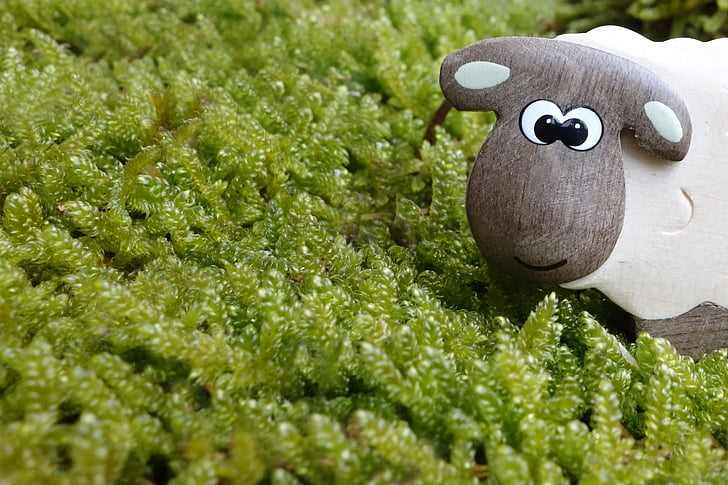 con cừu, rêu, Meadow, đôi mắt, gỗ, đồ chơi bằng gỗ, đồ chơi