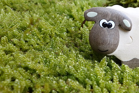sheep, moss, meadow, eyes, wood, wooden toys, toys