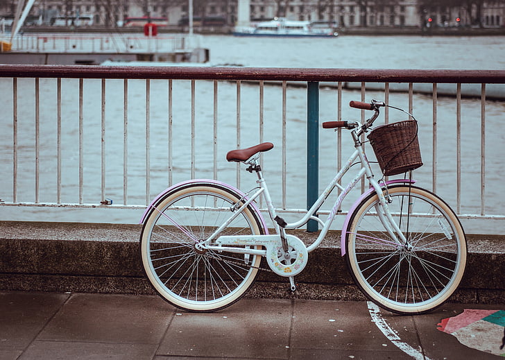 bike, bicycle, basket, sea, water, steel, fence