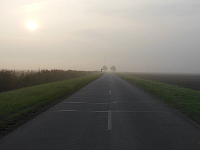 reggel, köd, március, Észak-Németországban, fák, szórt fény, a kora reggeli órákban