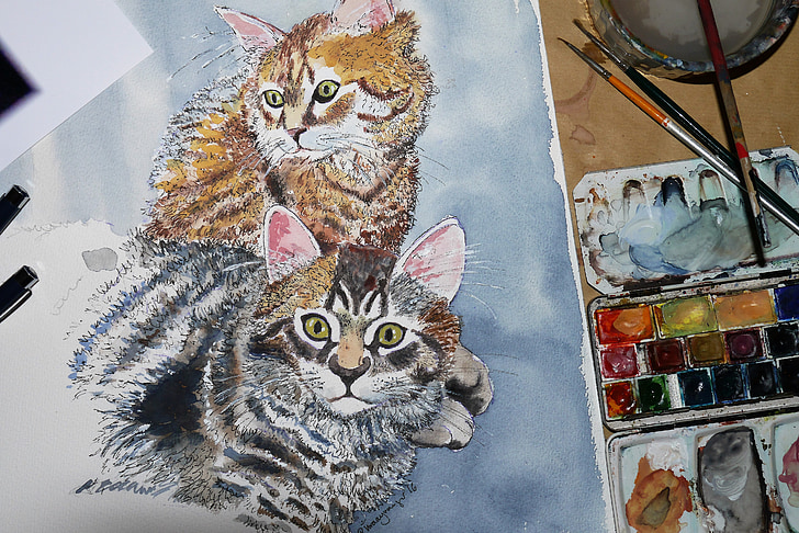 katė, dažai, tapyba, meno kūrinius, gyvūnų, Menas, akvarelė