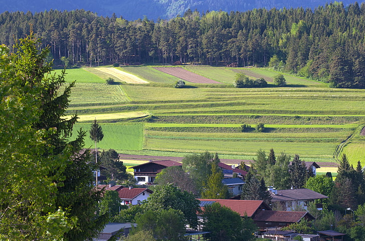 Austrijos kraštovaizdžio, auginimo, žemės ūkis, kalvos, pavasarį, bylose