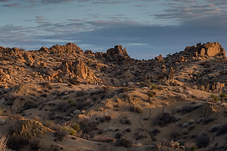 paysage, rocheux, Scenic, collines, Cactus, Parc national de Joshua tree, Californie
