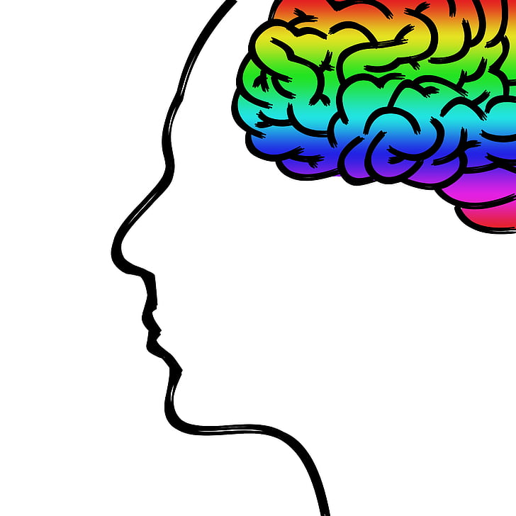 glava, mozak, misli, ljudsko tijelo, lice, Psihologija, koncentracija