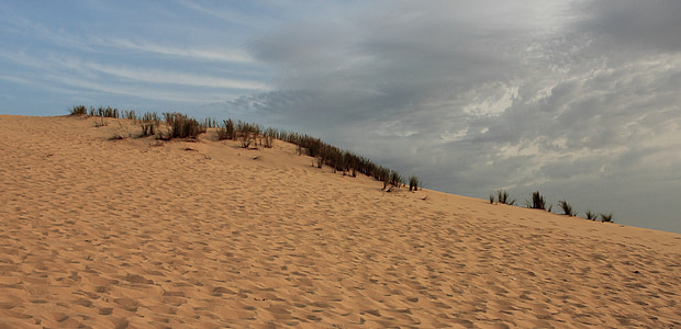 Duna di pilat è, sabbia, mare, Duna di sabbia, Costa Atlantica, Duna, Francia