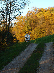 otoño, distancia, rodillo, moto scooter, ocio, vehículo, otoño dorado