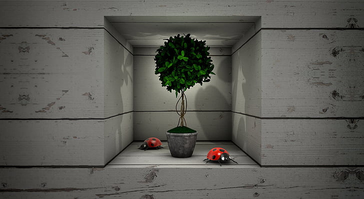 Besouro, planta, caixa, placas, nicho, madeira, 3D