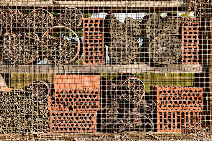 casa de abelha, abelhas selvagens, jardim, Close-ups, plano de fundo, natureza, proteção ambiental