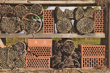 Casa de albine, albine sălbatice, gradina, closeups, fundal, natura, protecția mediului
