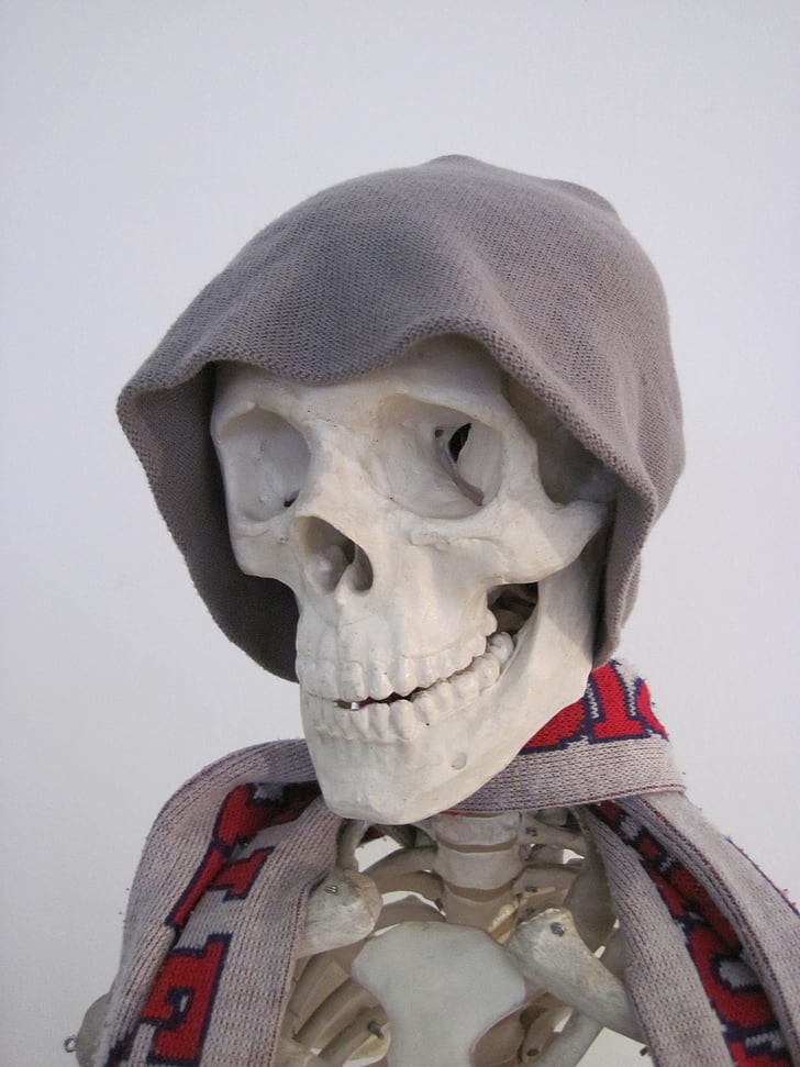 skeleton, cap, scarf, bone, fun